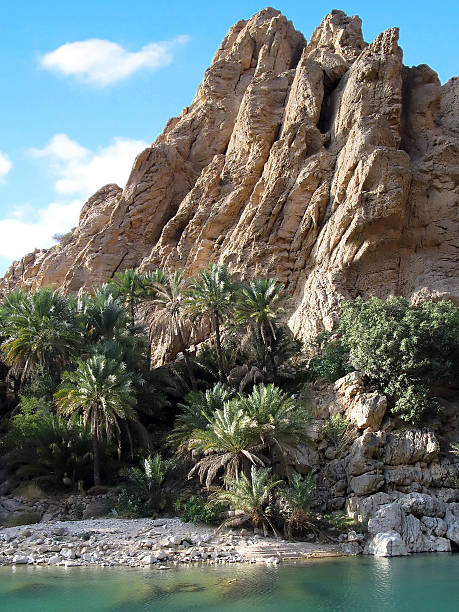 wadi natural, em omã - jalali - fotografias e filmes do acervo