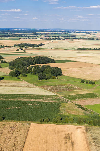 istock aerial view of the blue sky  and  harvest fields 501742166