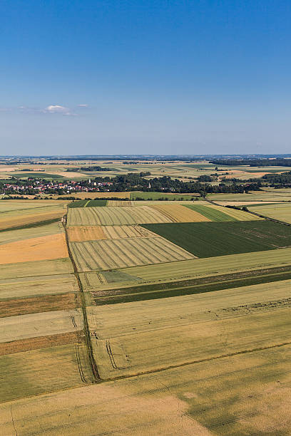istock aerial view of the blue sky  and  harvest fields 501742222