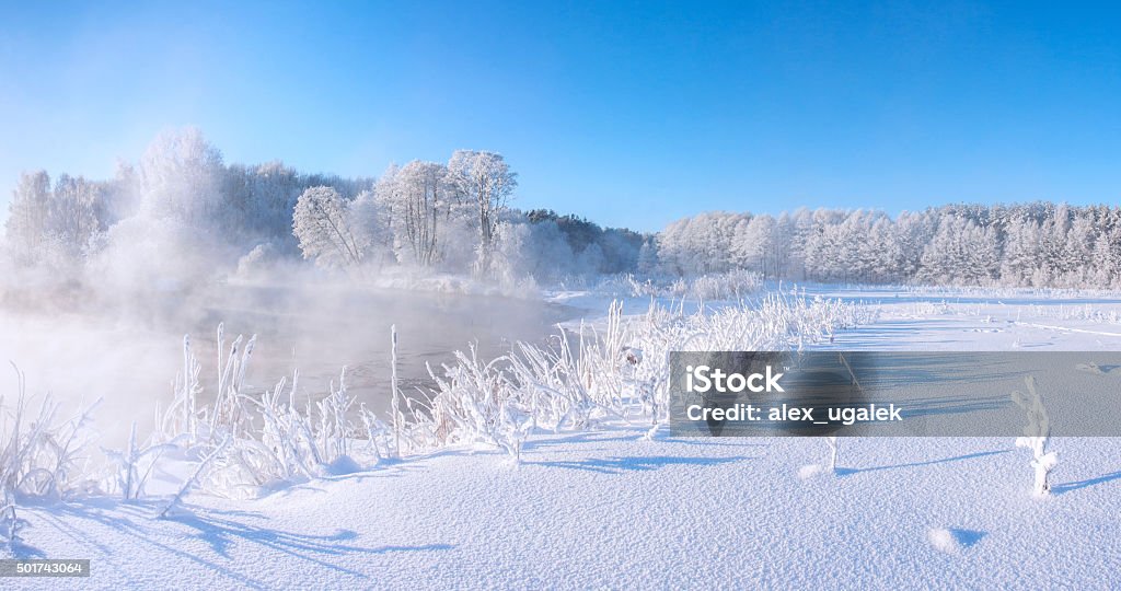 Frost winter nature White winter morning, everything coverd by snow and frost 2015 Stock Photo