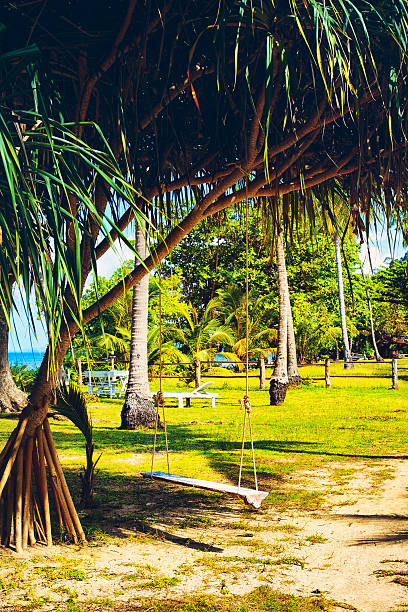 verde tropical resort - verticak imagens e fotografias de stock