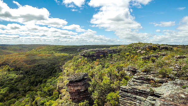 istock Landscape of Chapada Diamantina 501744570