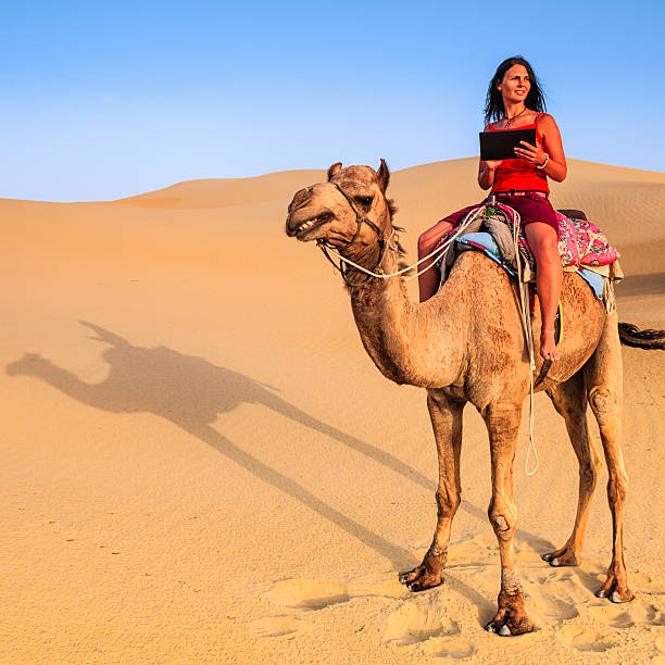 istock Young female tourist using digital tablet on camel, Rajasthan, India 501747380