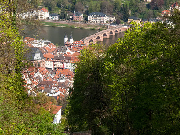 istock City view from the Koenigstuhl 501747984