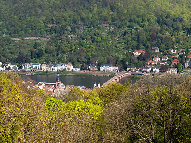 istock City view from the Koenigstuhl 501748022