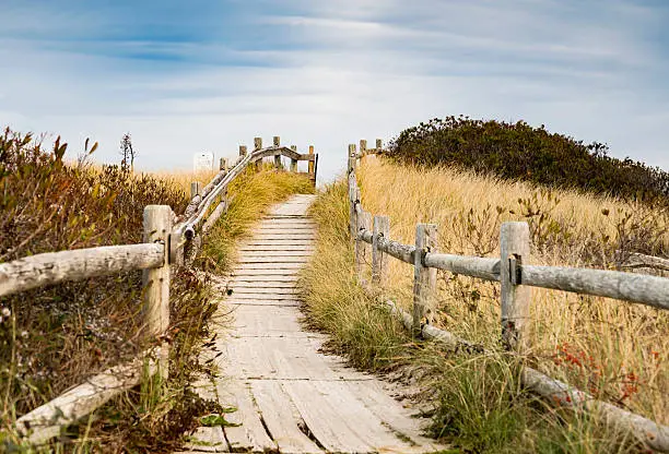 walkpath to the beach made with wood and reeds