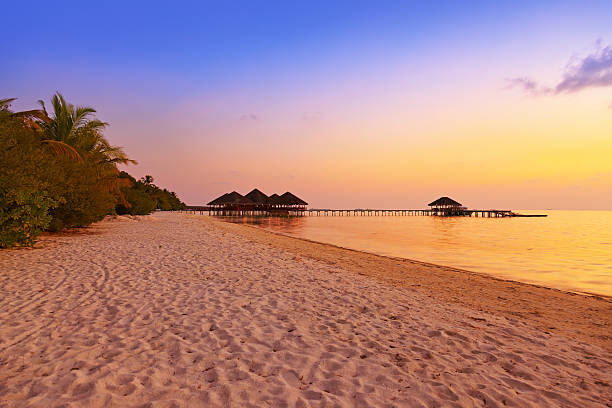istock Water cafe at sunset - Maldives 501750594