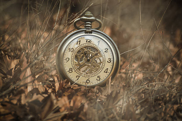 istock pocket watch on leaves 501750750