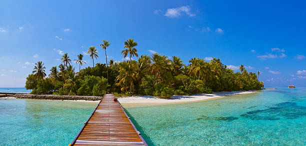 istock Tropical Maldives island 501750766