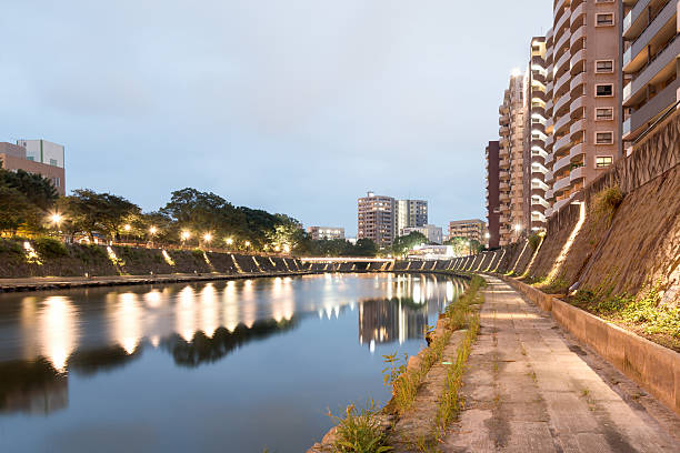 istock Kotsuki River at Night - Kagoshima City, Japan 501751076
