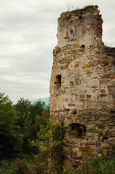 istock Ruins of castle Pnivskyy 501752324