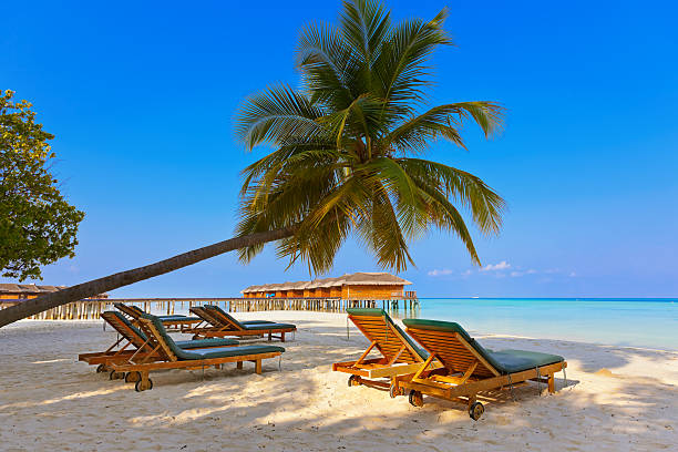 istock Loungers on Maldives beach 501763476