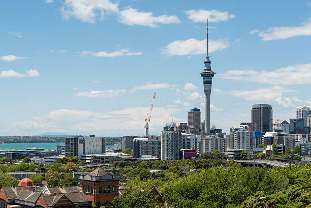 istock Auckland City 501763880