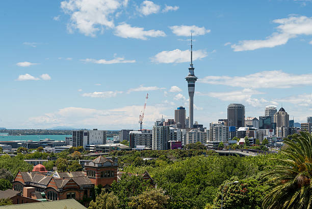 istock Auckland City 501763914