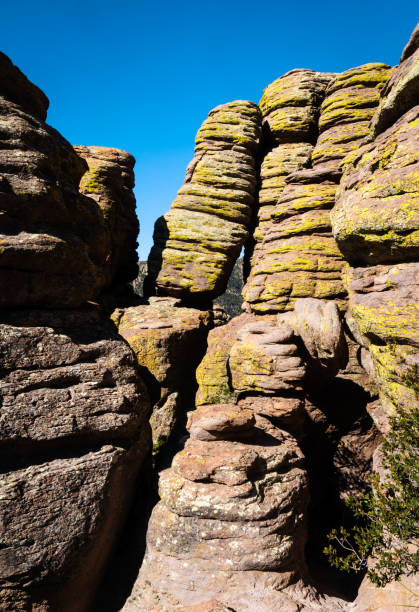 istock Chiricahua National Monument 501764770