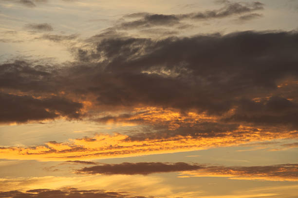 istock Dark cloud in early morning sky 501765576