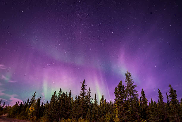 borealis aurura にイエローナイフ、nt - yellowknife ストックフォトと画像