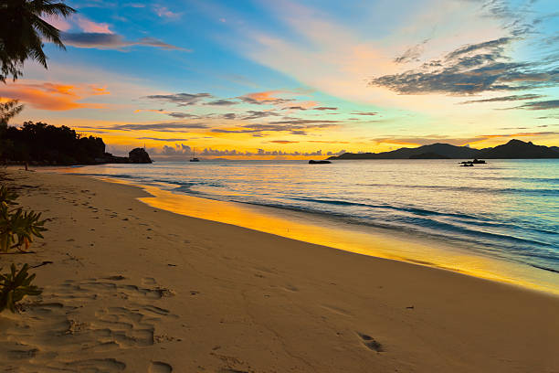istock Sunset on tropical beach - Seychelles 501766316