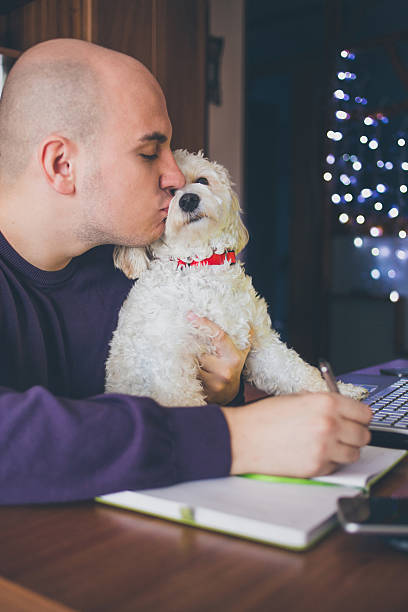 istock Relaxation in home office with cute pet! 501766444