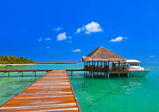 istock Tropical island and boat 501768788