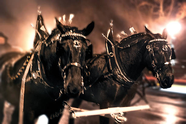 istock Ghostly Team of Horse 501769376