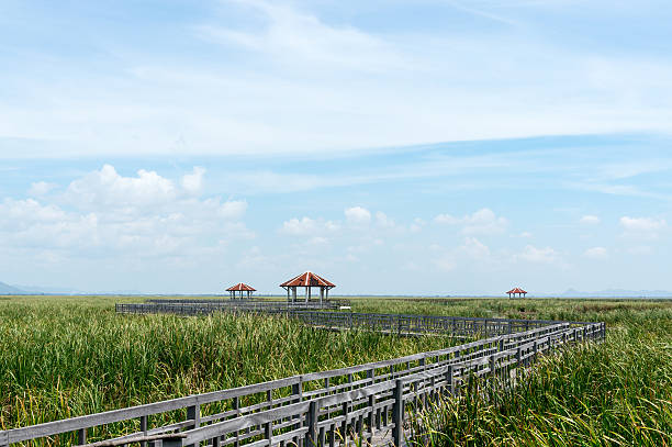 istock View Sam Roi Yod National Park Prachuap Khiri Khan Province 501769996