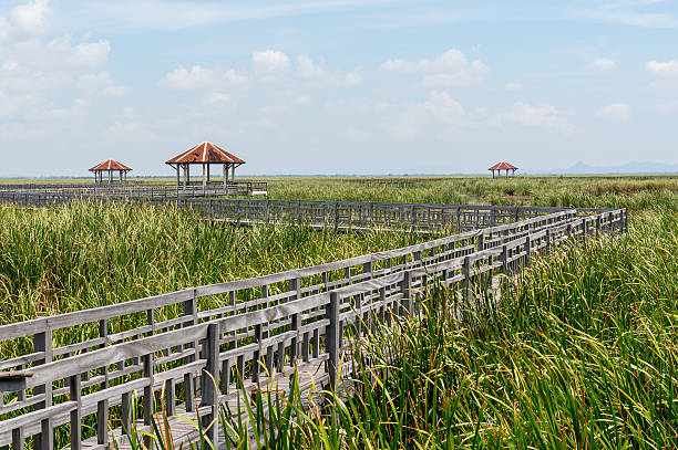 istock View Sam Roi Yod National Park Prachuap Khiri Khan Province 501770034