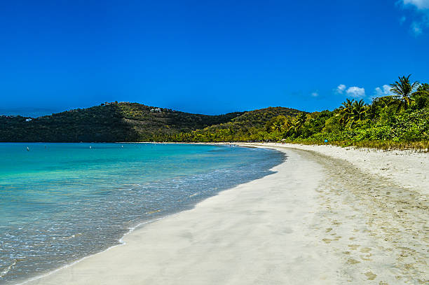 istock Beach scene showing sand, sea and sky - Virgin Islands 501773726