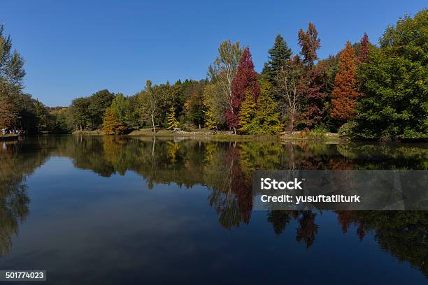 Arboretum Stock Photo - Download Image Now - Morton Arboretum, Arboretum, Autumn