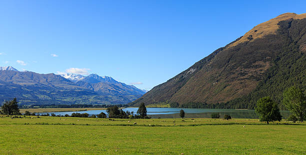 meadow, lake and mountain landscape