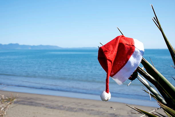 istock Kiwiana Christmas Themed Image 501774554
