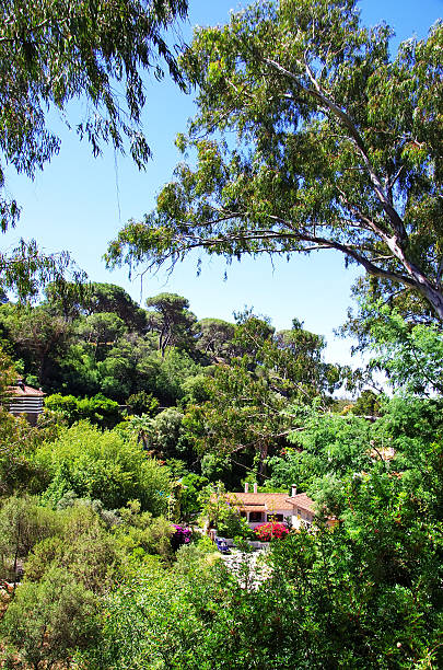 Caldas de Monchique, Algarve, Portugal