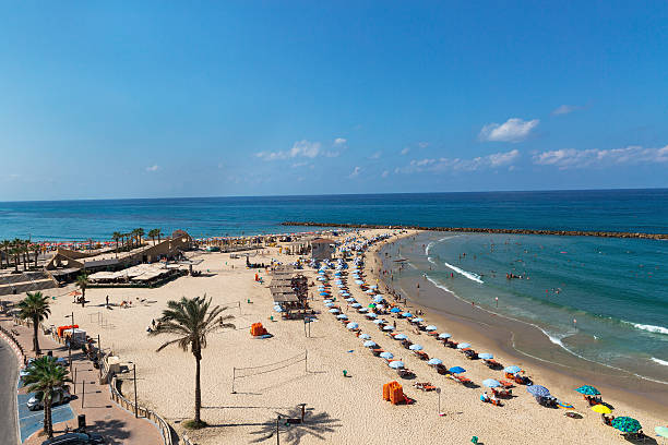 istock beach on the Mediterranean Sea 501775046