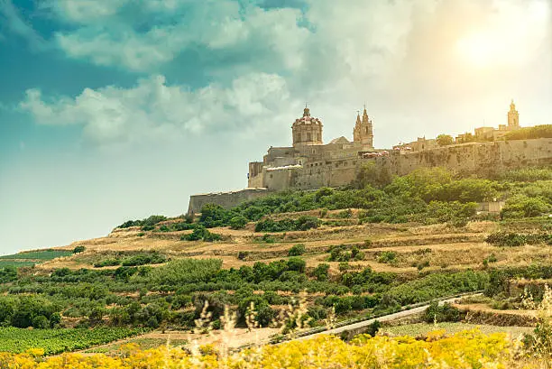 Mdina in the day. Malta