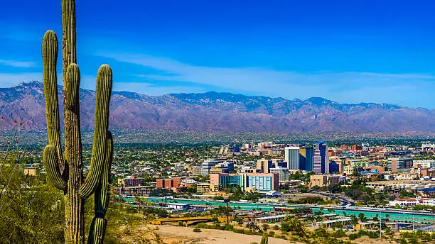 Tucson Arizona skyline cityscape framed by saguaro cactus and mountains