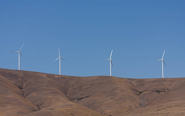 istock Hillside of Wind Turbines 501777009