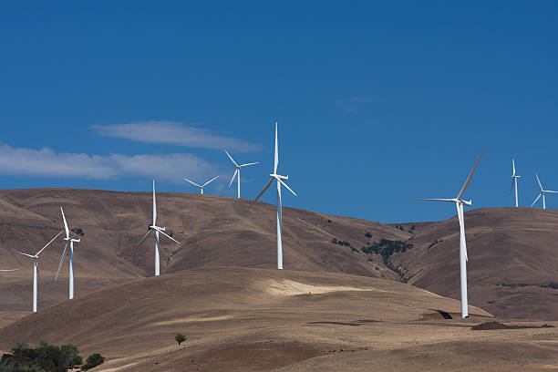 istock Hillside of Wind Turbines 501777023