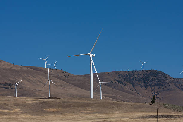 istock Hillside of Wind Turbines 501777049