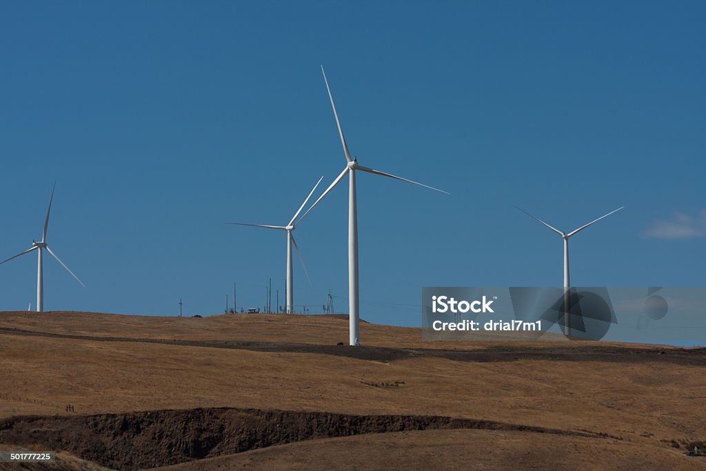 Hillside of Wind Turbines Wind Turbines on a hillside in the Columbia River Gorge located in Washington State. Blue Stock Photo