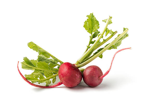 新鮮な赤の白大根 - radish isolated bunch vegetable ストックフォトと画像
