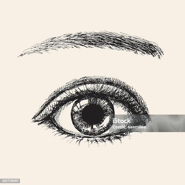 Sketch Eye Stock Illustration - Download Image Now - Eye, Drawing - Art Product, Human Eye