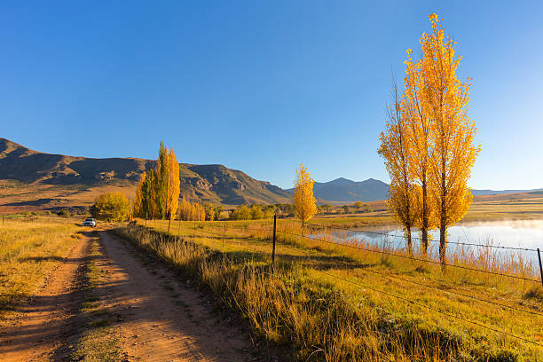 Early morning autumn colours Early morning autumn colours, South Africa golden gate highlands national park stock pictures, royalty-free photos & images