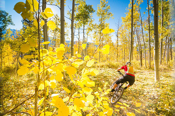 женщина осень горный велоспорт - mountain biking colorado action cycling стоковые фото и изображения