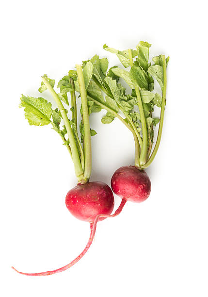 新鮮な赤の白大根 - radish isolated bunch vegetable ストックフォトと画像