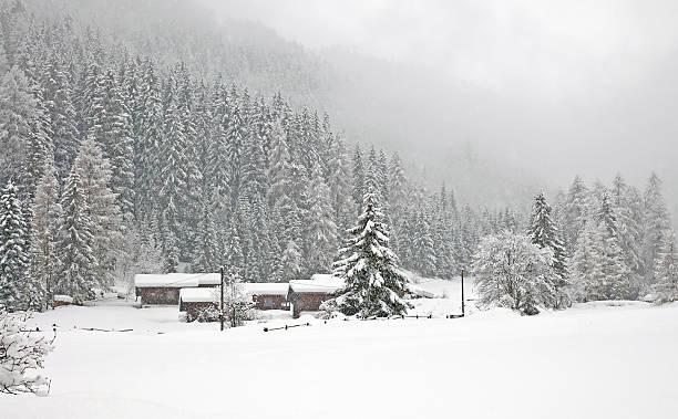 istock Snowy mountain in winter 501785204