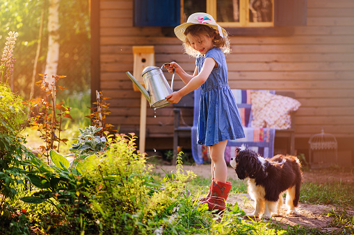 child girl watering flowers with her dog in summer garden, little helpers, outdoor activities on vacation