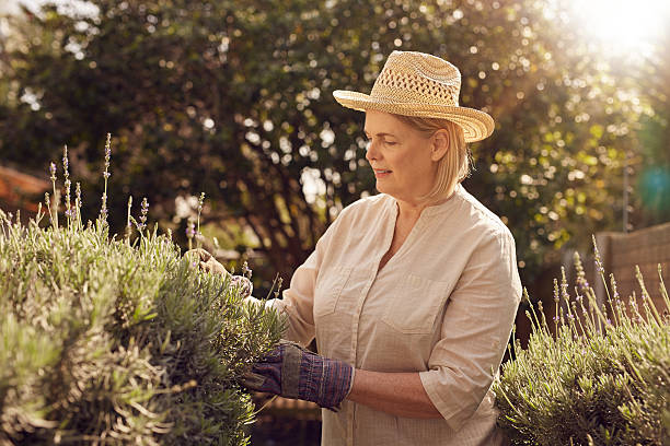 istock Gardening is a work of heart 501786630