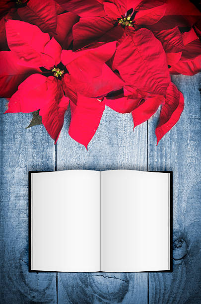 istock Red poinsettia Christmas flower on wooden background. Open notebook 501787732