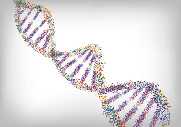 DNA colourful background. Vector Illustration of DNA colourful background. Vector chromosome illustrations stock illustrations