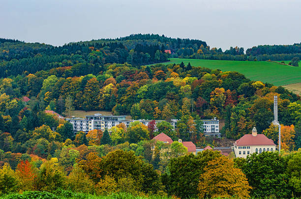 悪い gottleuba im herbst rehaklinik - reha ストックフォトと画像